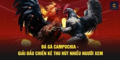 Đá gà Campuchia: Nguồn gốc, luật chơi và những điều cần biết 8 Đá gà Campuchia